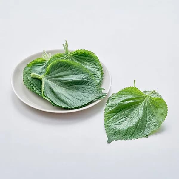 깻잎 무농약 40g 또는 30장