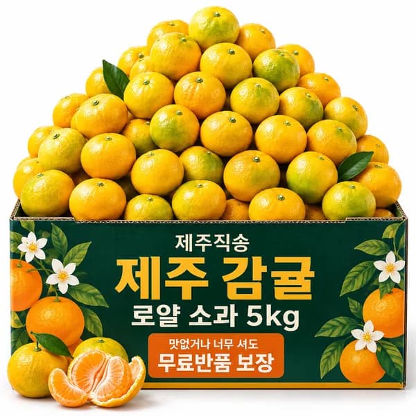 제주 농가직송 고당도 감귤 로얄소과 10kg 1박스 19,900원