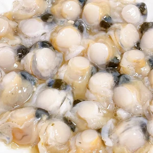 홍가리비 속살 500g 1개 19,400원