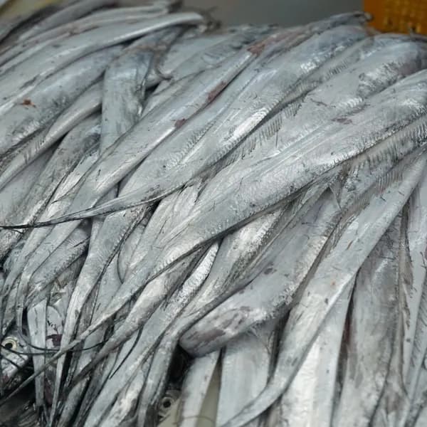 국내산 순살 갈치 450g 3개 14,500원