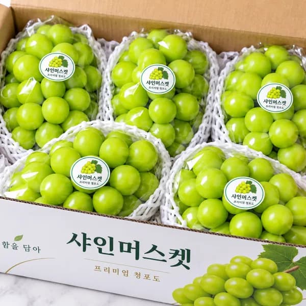 샤인머스켓 2-4수 2kg