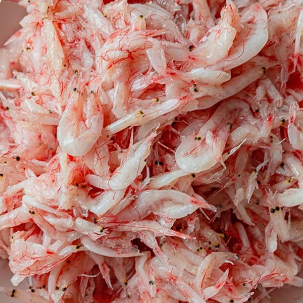 늘솔프레시 천일염으로 만든 신안 새우젓 2kg