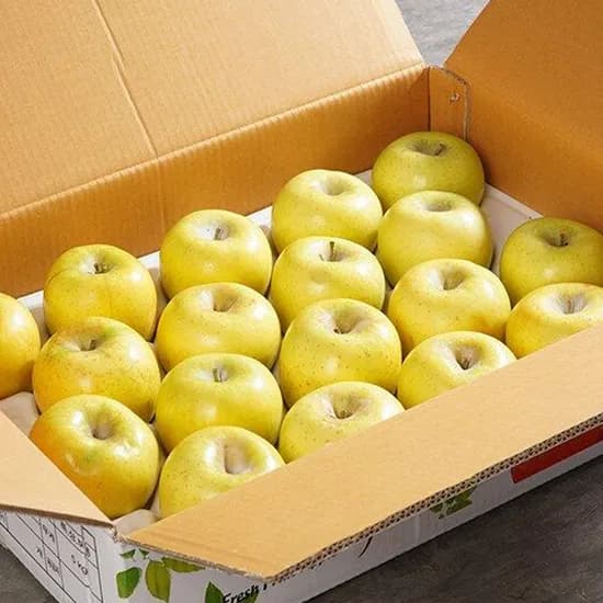 황금 시나노골드 사과 특과 5kg 1박스