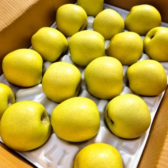 시나노골드사과 2kg 1박스