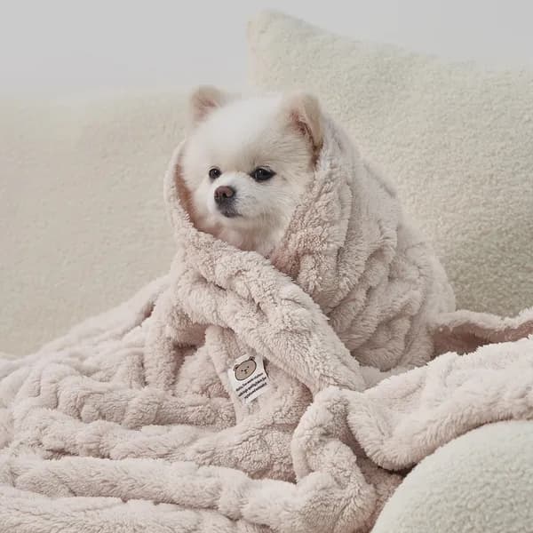 도그아이 강아지 반려동물 펫 꽈배기 담요 겸 이불 아이보리 M 1개 5,500원