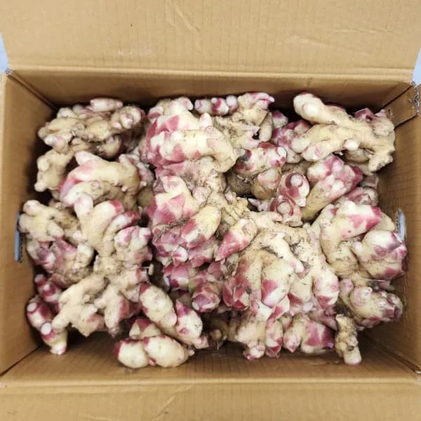 의령농산 국내산 흙생강 1kg 1박스 8,900원