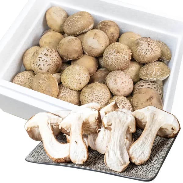 송화고 버섯 1kg 1박스 19,900원