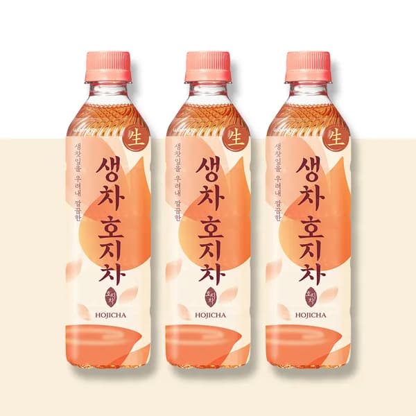 웅진 생차 호지차 500ml 20개입 1박스