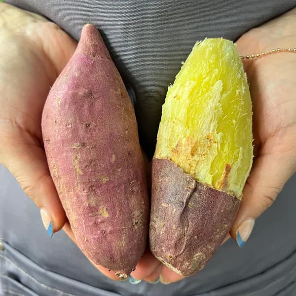 해남 꿀고구마 베니하루카 중상 5kg 1박스