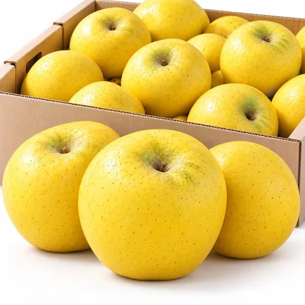 황금 시나노골드 사과 특과 5kg 1박스