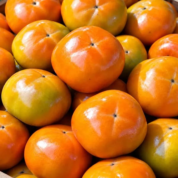 햇 부유 단감 소과 2kg 1개 8,900원