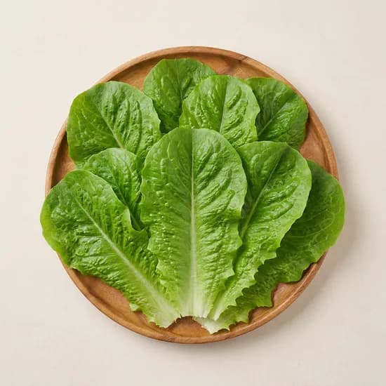 팜마실 유러피안 샐러드 4종 1kg 1박스