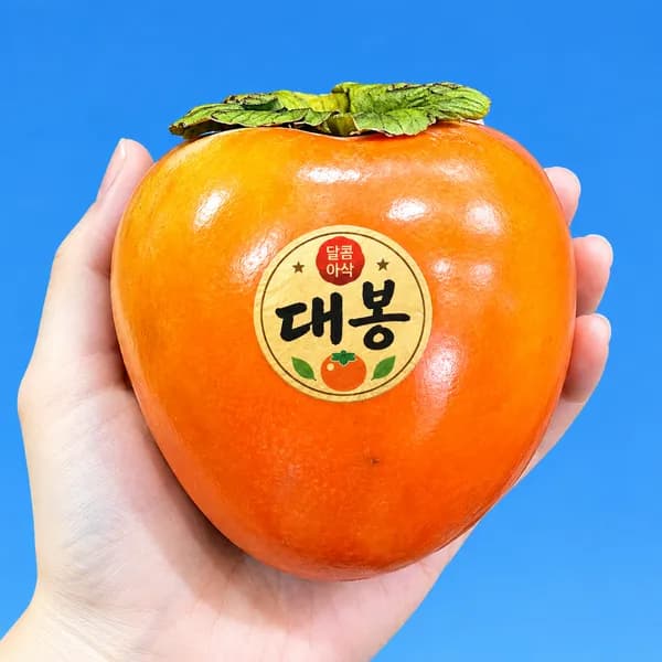 대봉감 16Brix 5kg 1박스