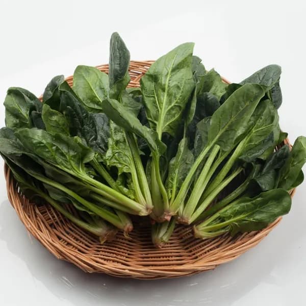 대박농수산 국내산 햇 노지 시금치 500g 1박스