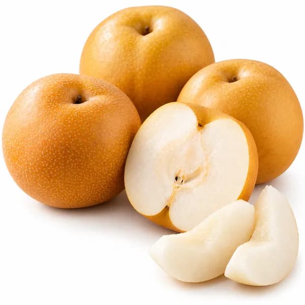 국내산 햇 신고배 가정용 3kg 1박스 10,710원