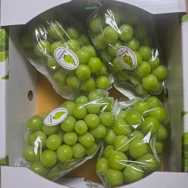 샤인머스캣 특품 3-4수 2kg 1박스 8,000원