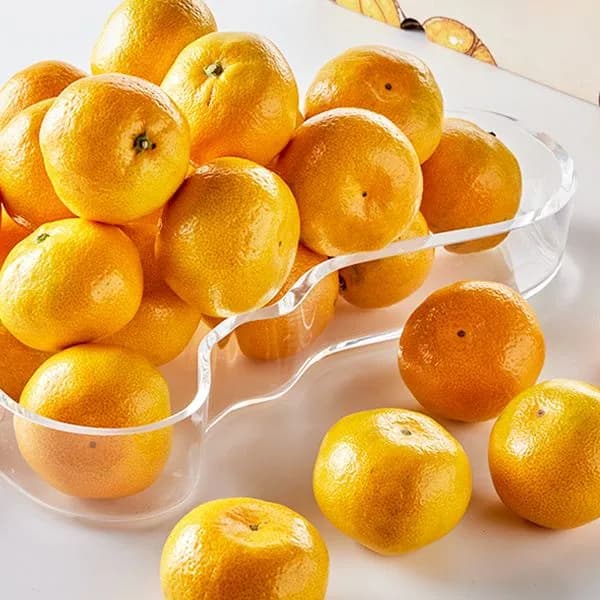 GAP 제주 노지감귤 대과 2.5kg 1개 8,900원
