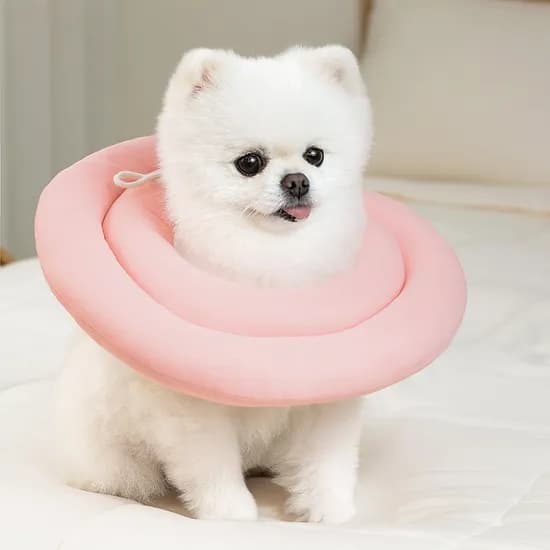 레토 강아지 고양이 넥카라, 핑크, L, 1개