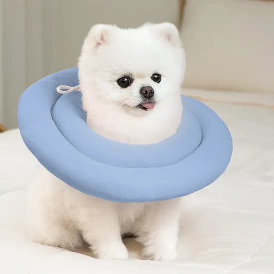 레토 강아지 고양이 넥카라, 블루, L, 1개