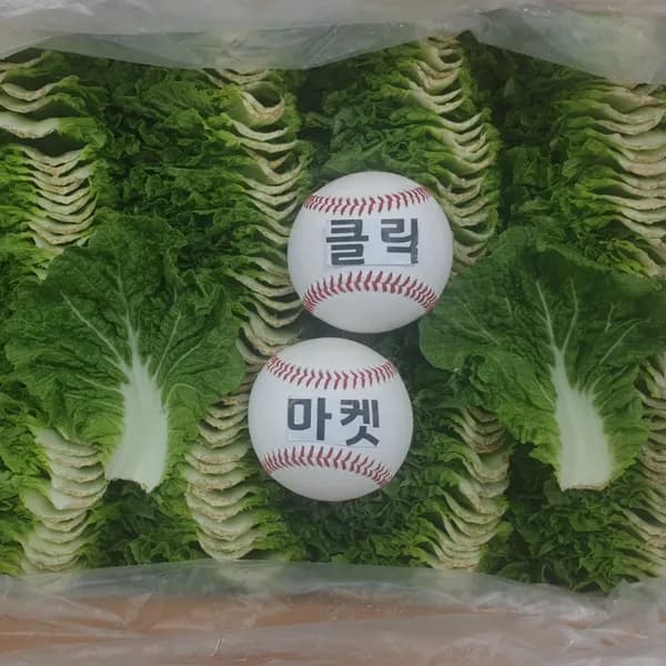 국내산 쌈추 쌈배추 쌈채소 2kg