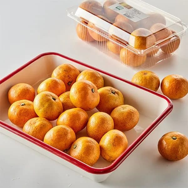 무농약 노지감귤 로얄과 1kg 2개 13,700원