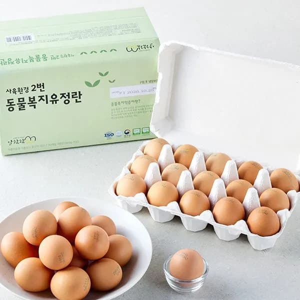 오아시스 무항생제 동물복지유정란 15구 2팩