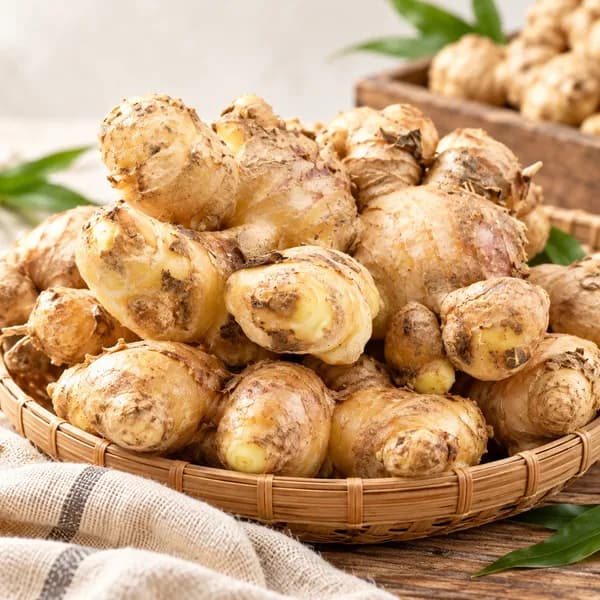국내산 영주 햇 흙생강 특품 1kg 1박스