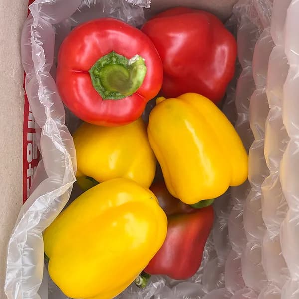 국내산 파프리카 빨강 노랑 혼합 가정용 못난이 2kg 1박스