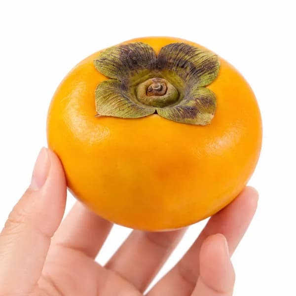 리온넷 가을 단감 5kg 1박스