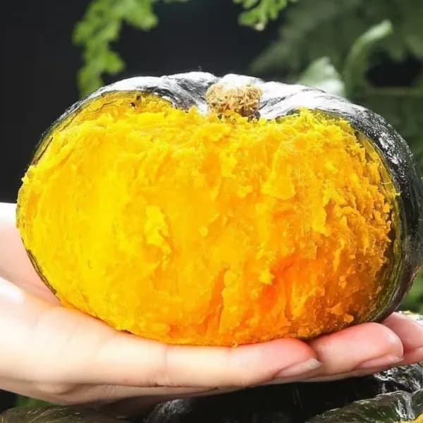 제주 미니밤호박 단호박 로얄과 3kg 1박스