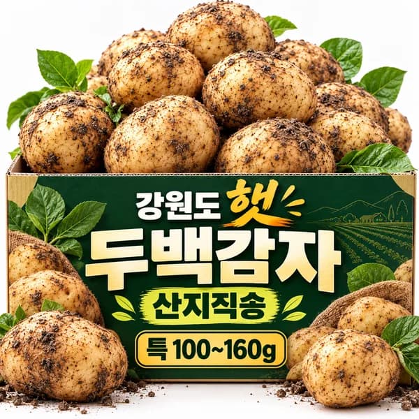 강원도 두백감자 햇감자 분감자 특 5kg 1박스