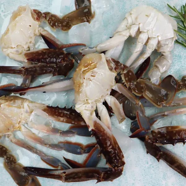 서해안 국내산 냉동 절단 손질 꽃게 500g 1개 11,900원