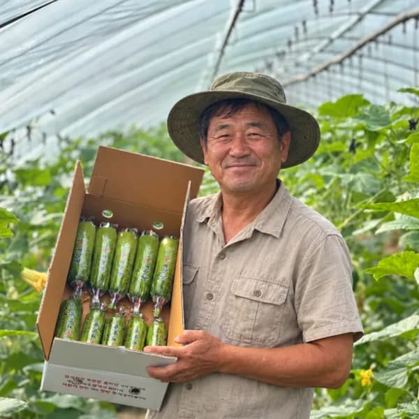 인큐 애호박 특품 100g 10개 1팩 10,100원