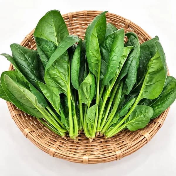 국내산 시금치 1kg 1박스