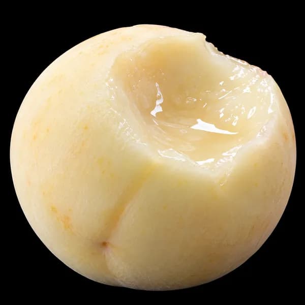 산지직송 고당도 설아복숭아 겨울복숭아 1kg 1개