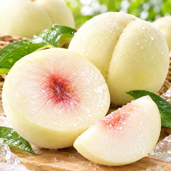 초겨울 설아 설리복숭아 500g 1박스
