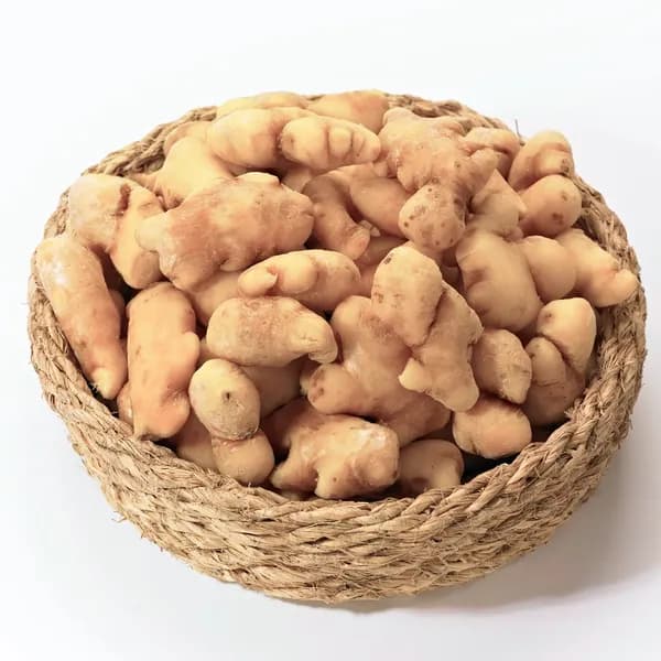 국내산 세척생강 1kg 1박스