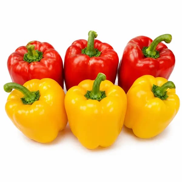 가정용 파프리카 5kg 1박스
