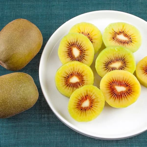 국내산 제주 레드키위 특대과 2kg 1박스