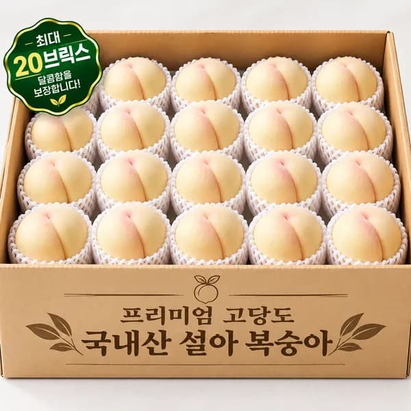 국내산 설아 복숭아 500g 1박스