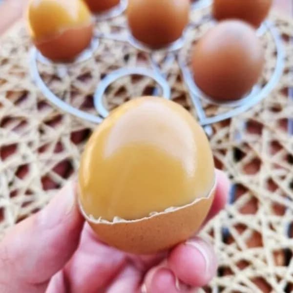 잎담 HACCP 인증 구운란 대란 30개