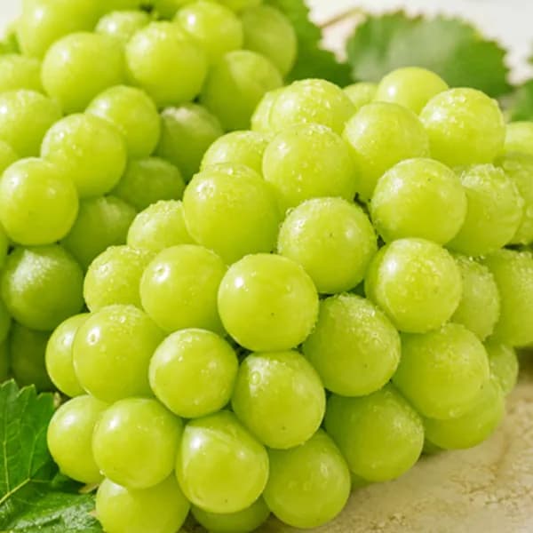샤인머스켓 특품 2kg 1박스