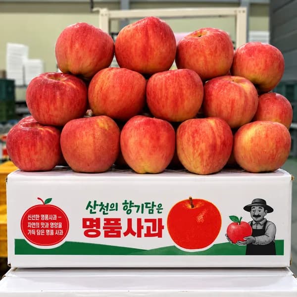 꿀 부사사과 5kg 1박스