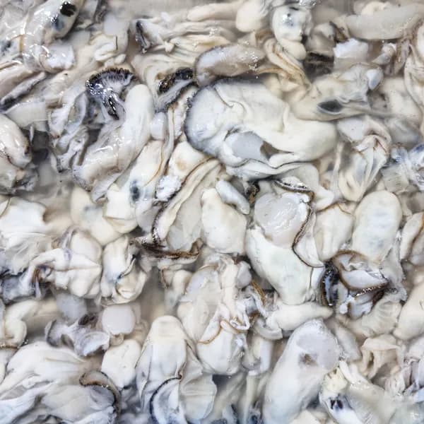 통영 생굴 중소 1kg 1팩