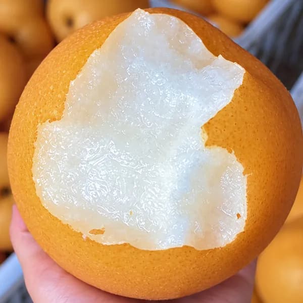 GAP인증 저탄소 가정용 신고배 3kg 1박스