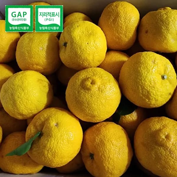 고흥 생유자 3kg 1박스