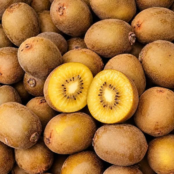 국내산 골드키위 중과 2kg 1박스