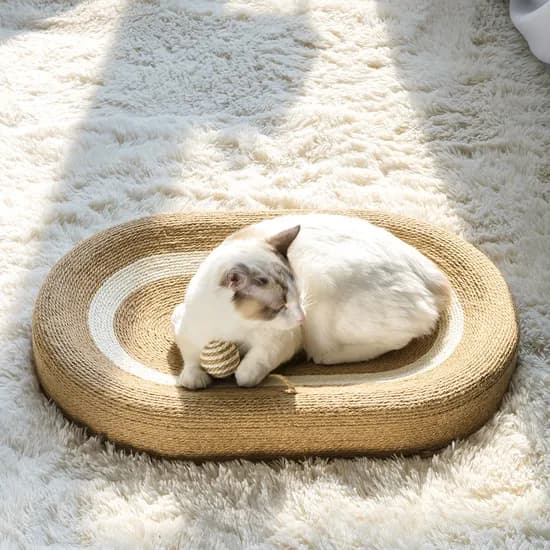 고양이 침대 스크래쳐, 1개