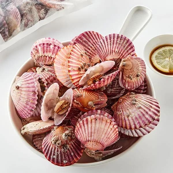 통영 홍가리비 1kg 내외 1봉지