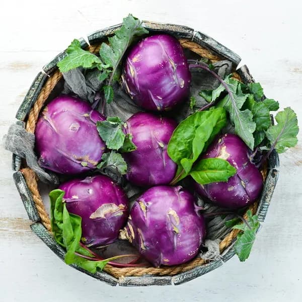 국내산 햇 콜라비 1kg 1박스